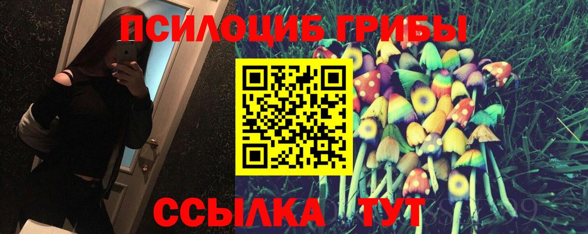 где купить наркоту  Галлюциногенные грибы GOLDEN TEACHER  Вход с VPN  Менделеевск 